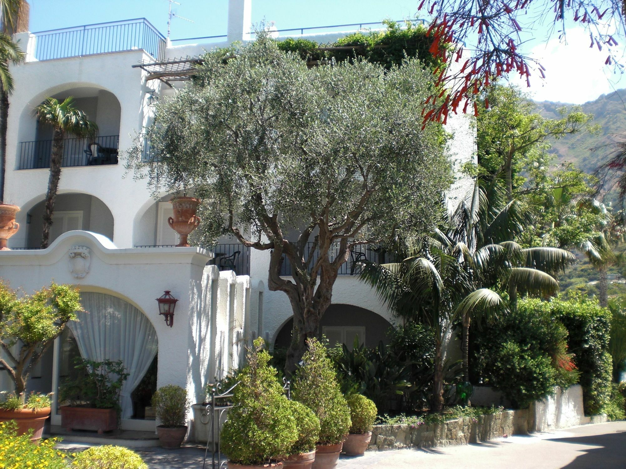 Hotel Parco Maria Terme Forio di Ischia Екстериор снимка